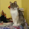 Отзыв от Алена Наумова